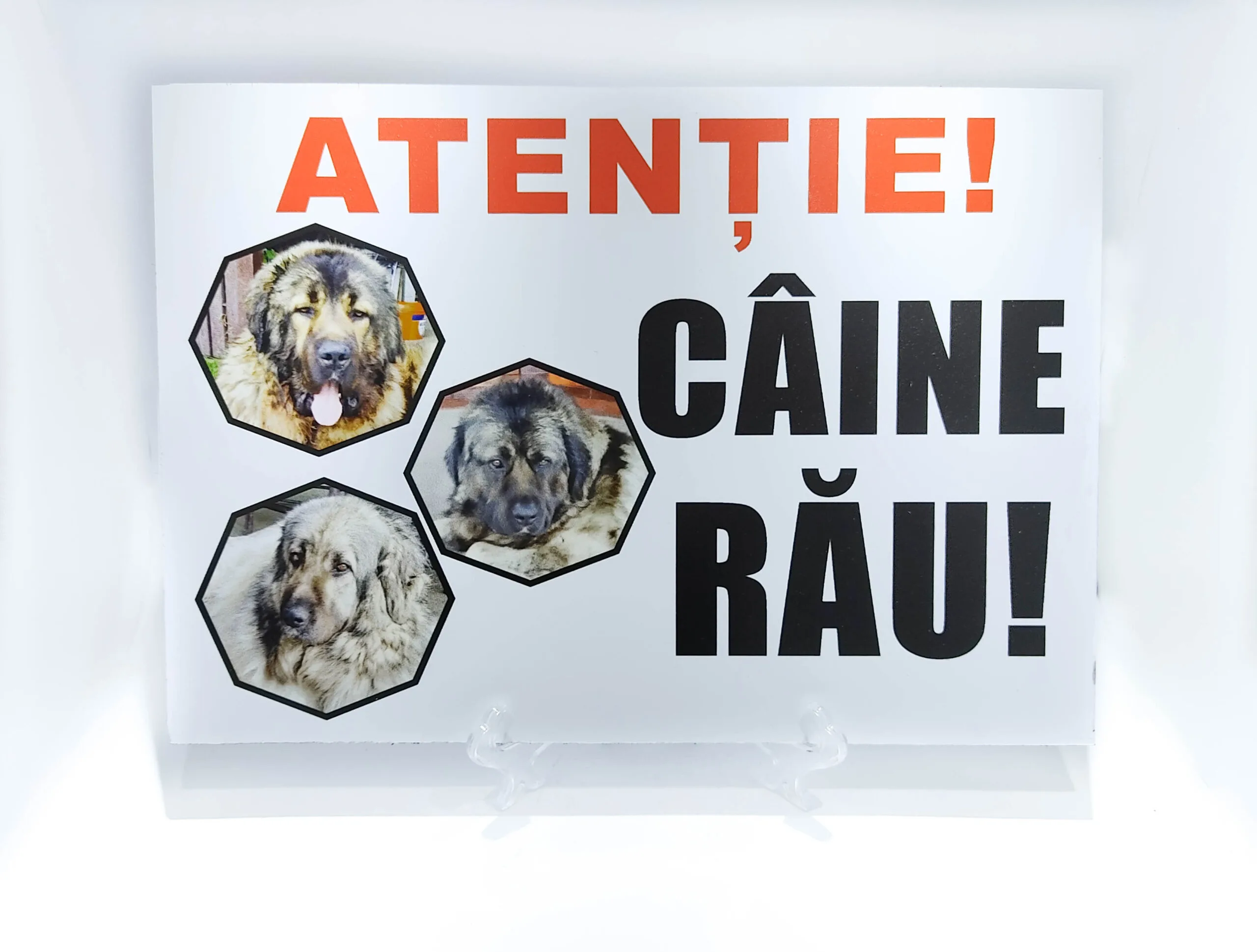 Plăcuță Atenție câine rău