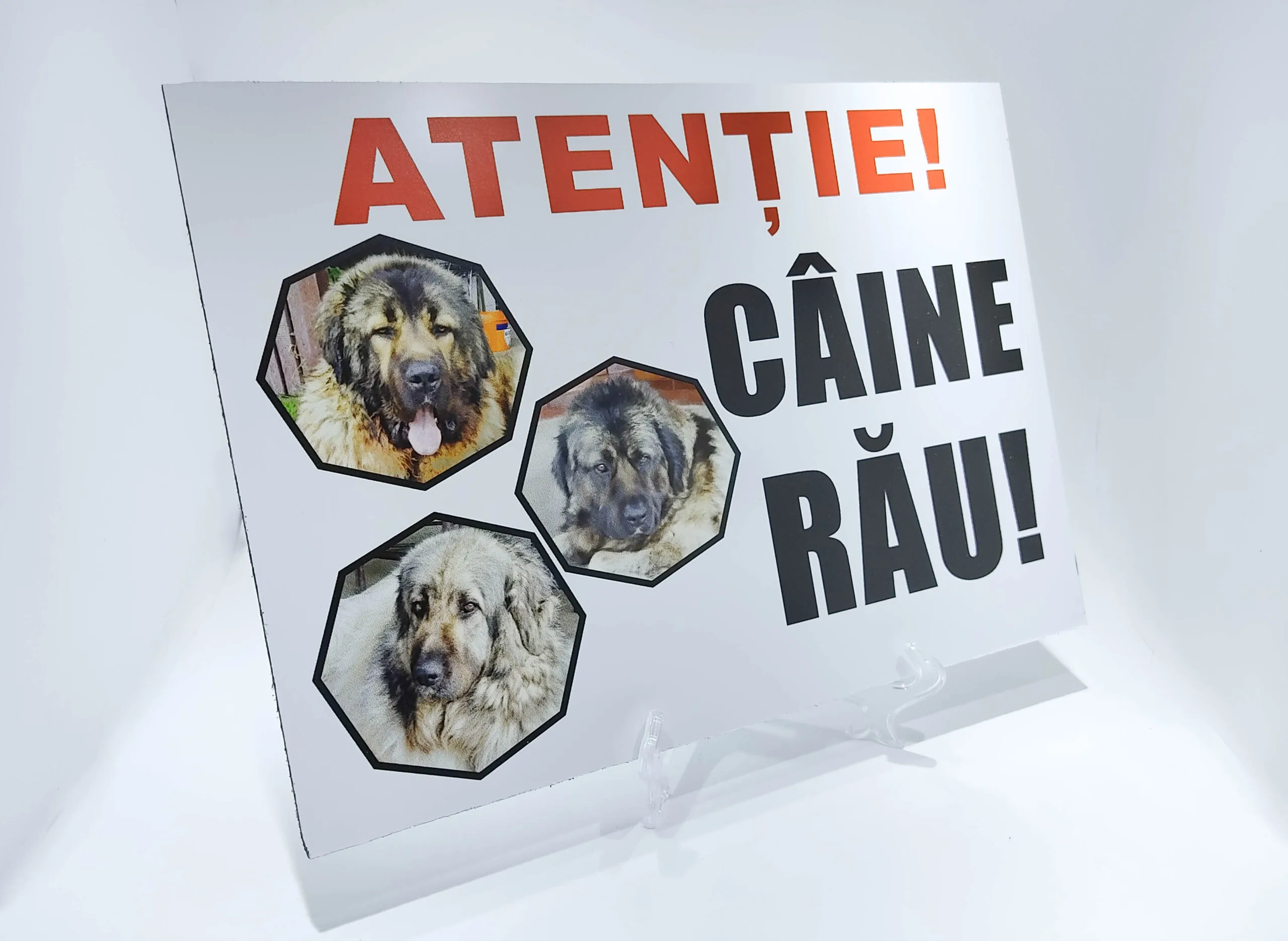 Plăcuță „Atenție câine rău!" - imagine 3